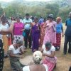 එරබදු වසන්තය 